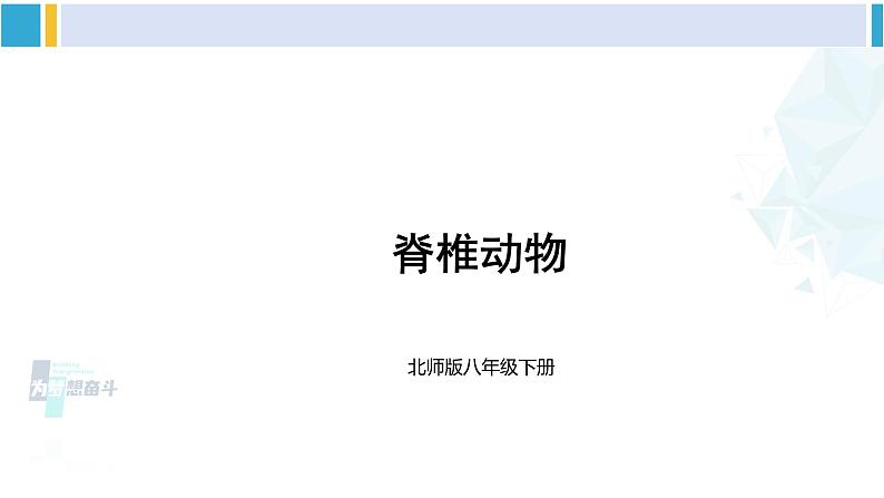 北师大版八年级生物下册 第7单元 生命的演化 第3课时 脊椎动物(课件)第8页