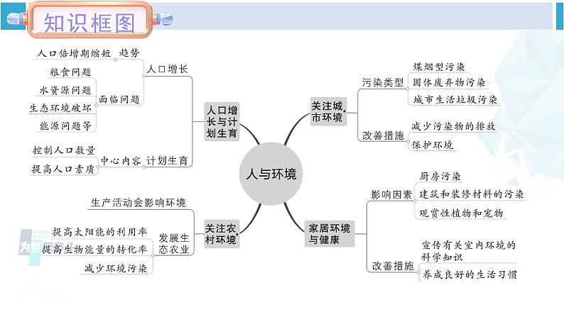 北师大版八年级生物下册 第8单元 生物与环境 本章小结(课件)02