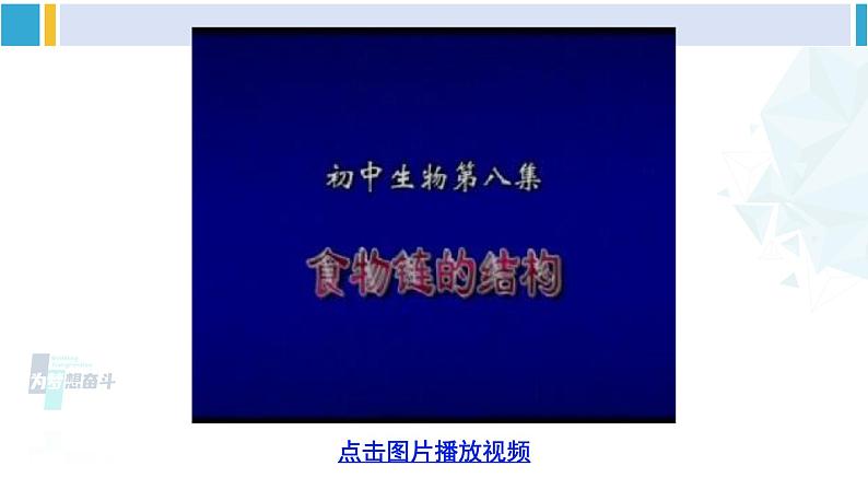 北师大版八年级生物下册 第8单元 生物与环境 第1课时 食物链和食物网(课件)第6页