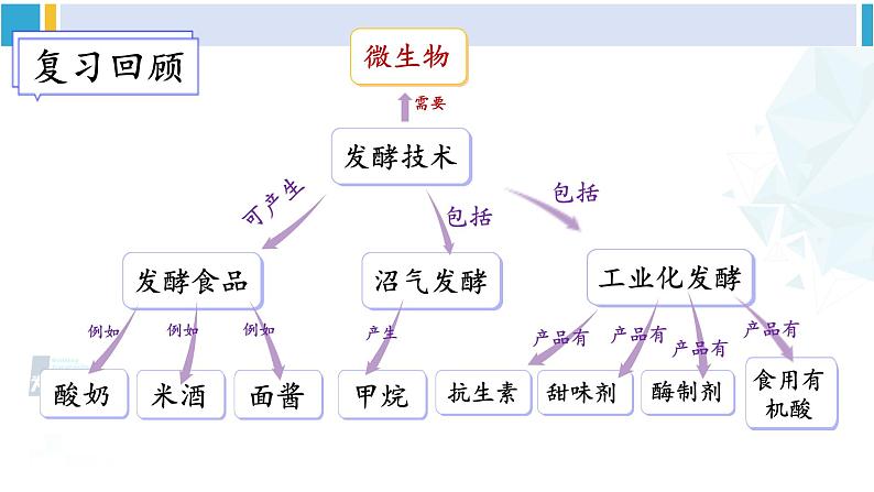 北师大版八年级生物下册 第9单元 生物技术 章末小结(课件)第2页