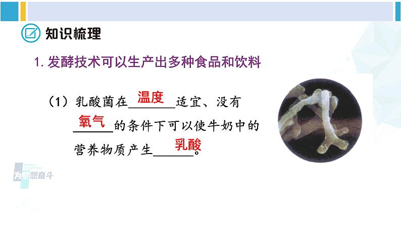 北师大版八年级生物下册 第9单元 生物技术 章末小结(课件)第3页