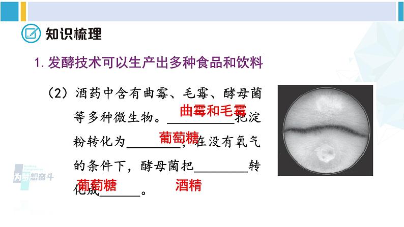北师大版八年级生物下册 第9单元 生物技术 章末小结(课件)第4页