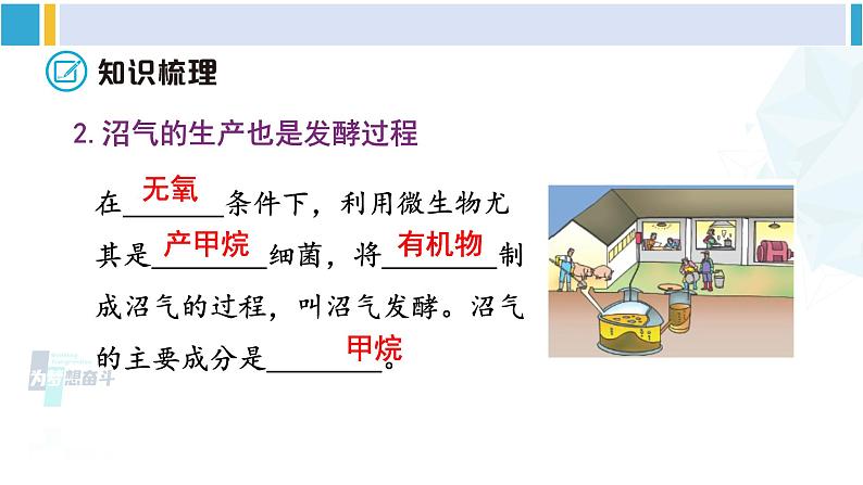 北师大版八年级生物下册 第9单元 生物技术 章末小结(课件)第6页