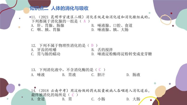 苏教版生物七年级下册第九章 人的食物来自环境课件07