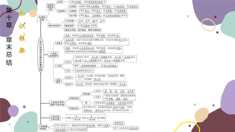 苏教版生物七年级下册第十章 人体内的物质运输和能量供给课件02