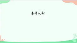 冀少版生物七年级下册 4.3.2 条件反射课件