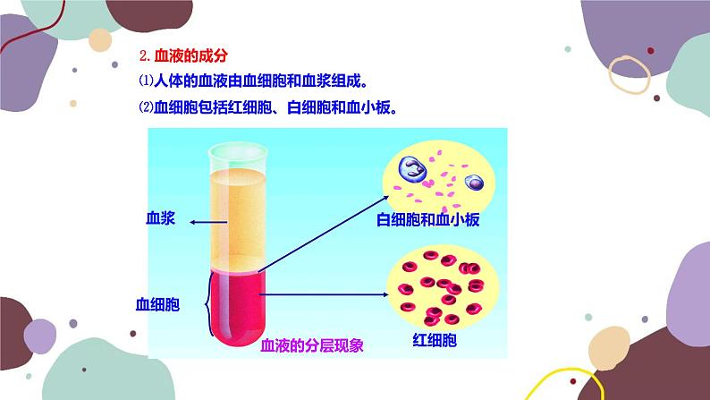 苏教版生物七年级下册第十章 血液和血型 第一课时课件第5页