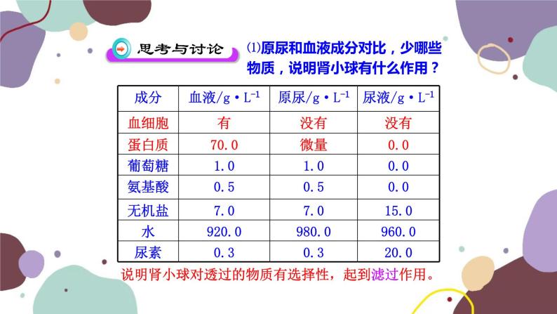 苏教版生物七年级下册第十一章 人体废物的排出课件05