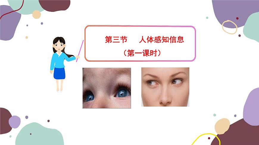 蘇教版生物七年級下冊第十二章 人體感知信息 第一課時課件第1頁