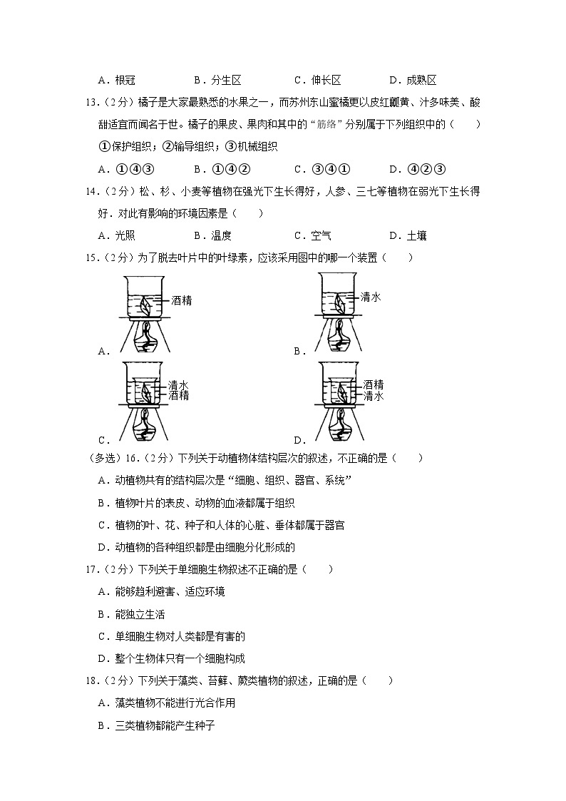 海南省海口市2023-2024学年七年级上学期期末生物试卷（B卷）03