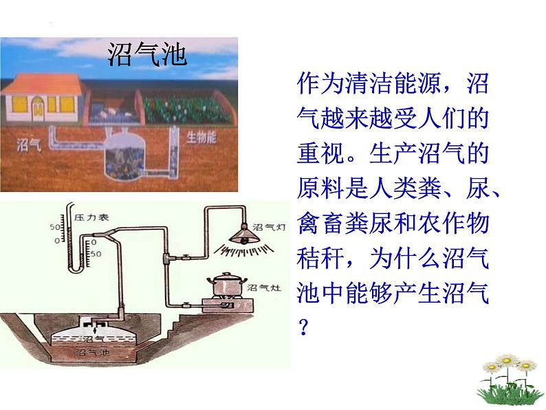 5.4.5++人类对细菌和真菌的利用++课件-2023-2024学年人教版生物八年级上册02