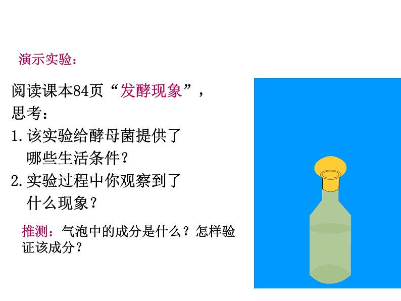 5.4.5++人类对细菌和真菌的利用++课件-2023-2024学年人教版生物八年级上册06
