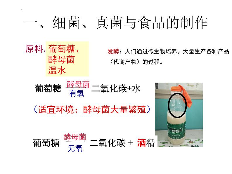 5.4.5++人类对细菌和真菌的利用++课件-2023-2024学年人教版生物八年级上册07