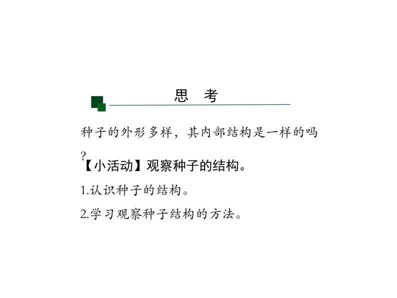 3.1.2++种子植物++课件-2023-2024学年人教版生物七年级上册06