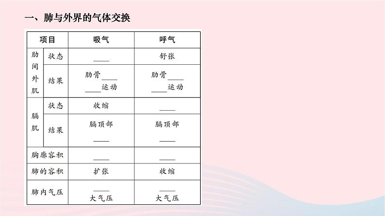 2024七年级生物下册第四单元生物圈中的人第三章人体的呼吸第二节发生在肺内的气体交换作业课件新版新人教版第2页