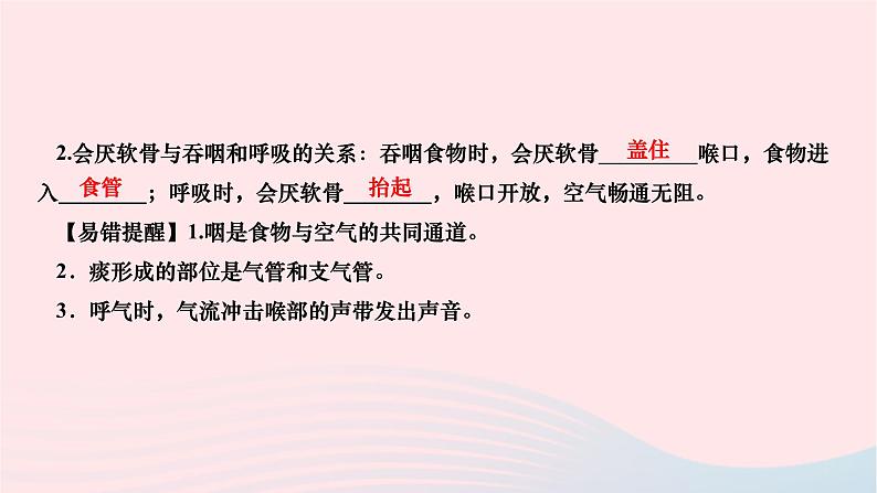 2024七年级生物下册第四单元生物圈中的人第三章人体的呼吸第一节呼吸道对空气的处理作业课件新版新人教版第4页