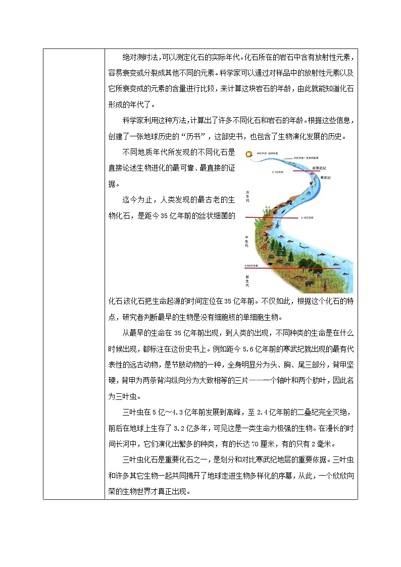 人教版八年级下册生物7.3.2《生物进化的历程》教学设计02