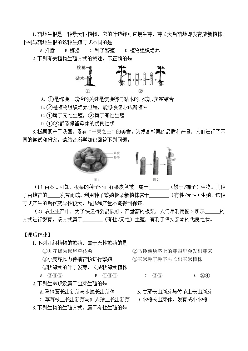 人教版八年级下册生物7.1.1《植物的生殖》同步练习02