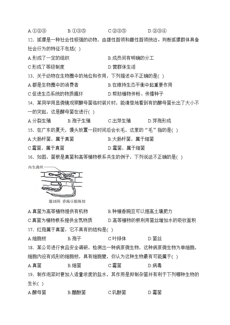 广东省汕尾市陆河县2023-2024学年八年级上学期期末教学质量监测生物试卷(含答案)第3页