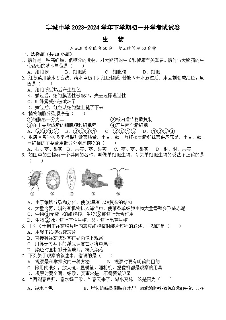 江西省丰城中学2023-2024学年七年级下学期开学生物试题第1页