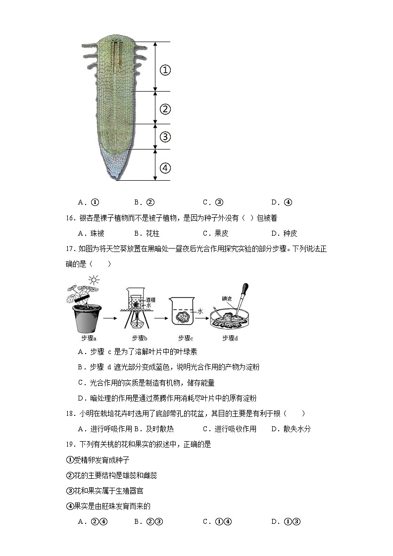 吉林省桦甸市初中2023-2024学年七年级上学期期末生物试题(含答案)第3页