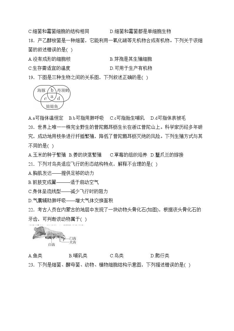 福建省宁德市2023-2024学年八年级上学期期末质量检测考试生物试卷(含答案)第3页