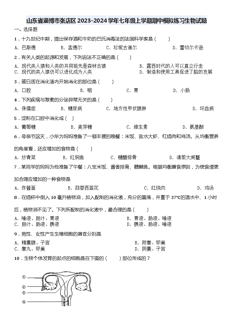 山东省淄博市张店区2023-2024学年七年级上学期期中模拟练习生物试题01