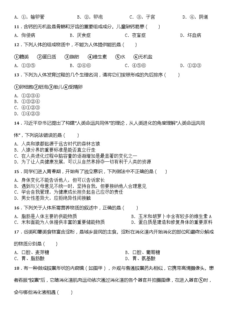 山东省淄博市张店区2023-2024学年七年级上学期期中模拟练习生物试题02