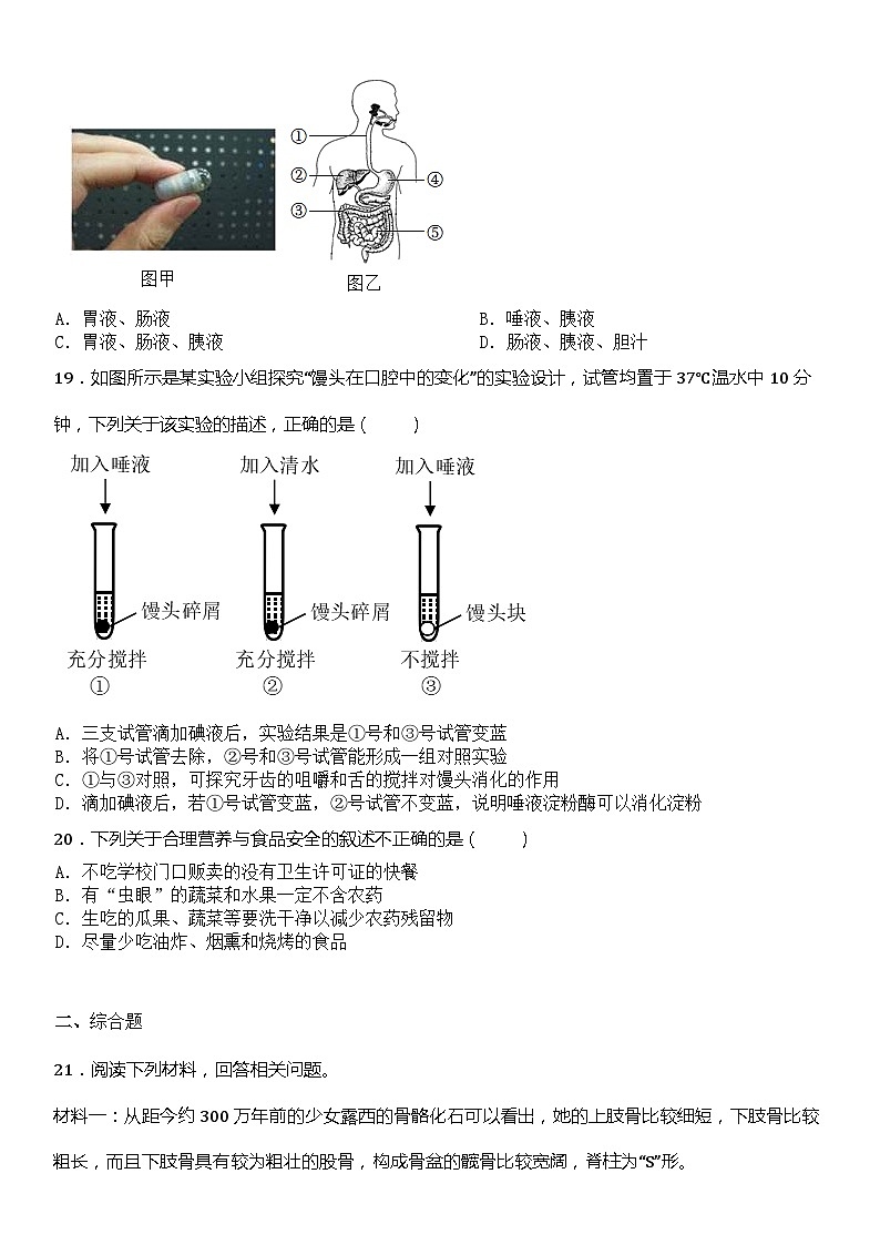 山东省淄博市张店区2023-2024学年七年级上学期期中模拟练习生物试题03