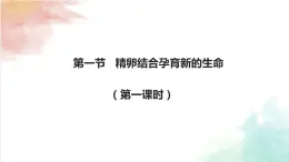 8.1精卵结合孕育新的生命课件2023--2024学年苏教版生物七年级下册