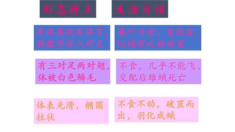 7.1.2昆虫的生殖和发育课件2023--2024学年人教版生物八年级下册 (1)07