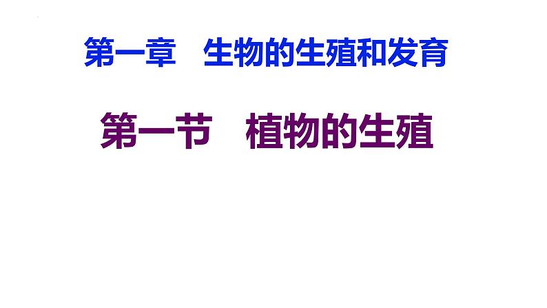 7.1.1-植物的生殖课件2023--2024学年人教版生物八年级下册第1页