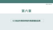 初中生物苏教版七年级上册第五节 光合作用和呼吸作用原理的应用示范课课件ppt