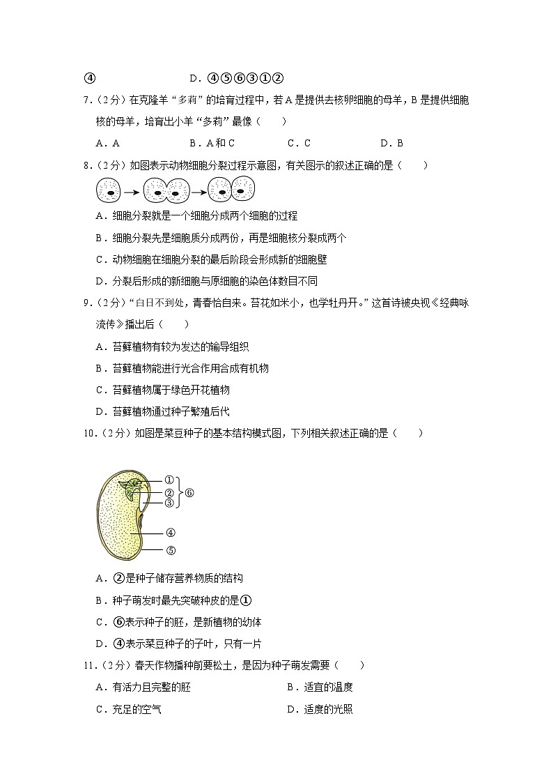 廣西南寧市2023-2024學(xué)年七年級上學(xué)期期末生物試卷第2頁