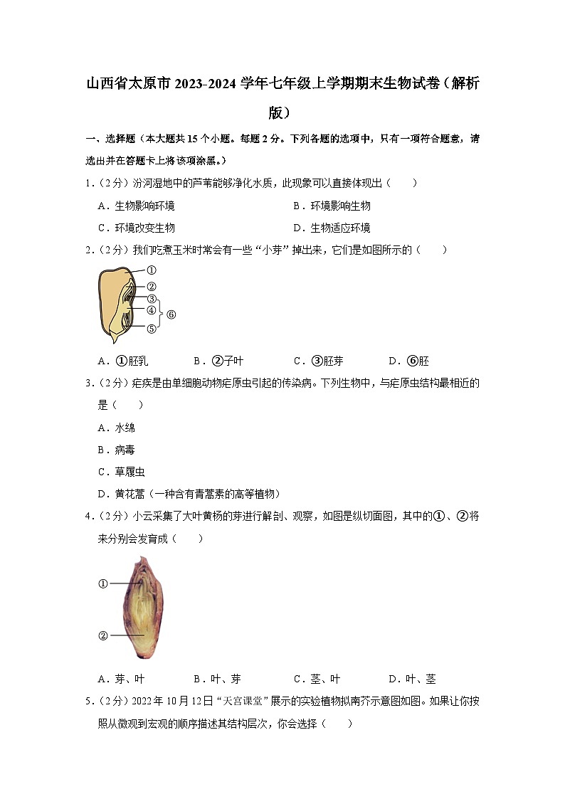 山西省太原市2023-2024学年七年级上学期期末生物试卷第1页