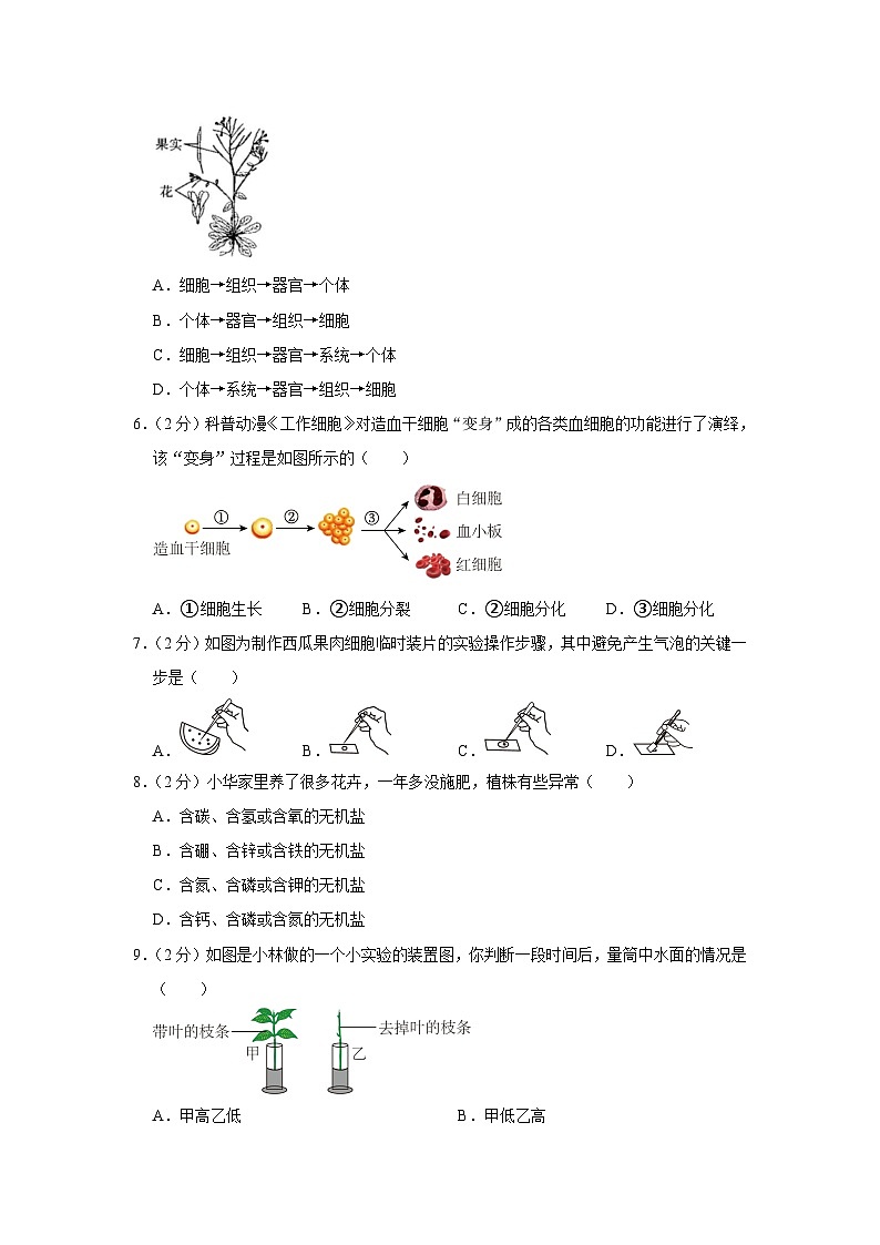 山西省太原市2023-2024学年七年级上学期期末生物试卷第2页