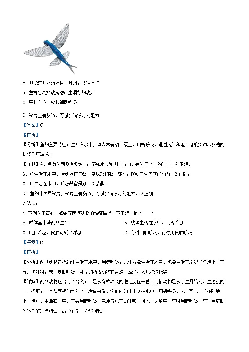 精品解析:安徽省安庆市外国语学校2023-2024学年八年级上学期期末生物试题(解析版)第2页