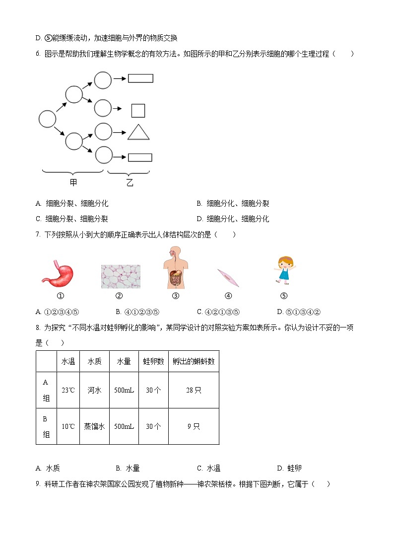 精品解析:山东省济南市天桥区2023-2024学年七年级上学期期末考试生物试题(原卷版)第2页