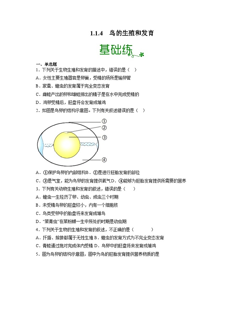 人教版八年级下册生物1.1.4 鸟的生殖和发育(分层练)(原卷版)01