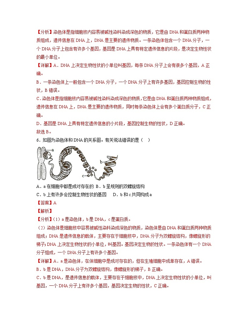 人教版八年级下册生物1.2.2 基因在亲子代间的传递(分层练)(解析版)03