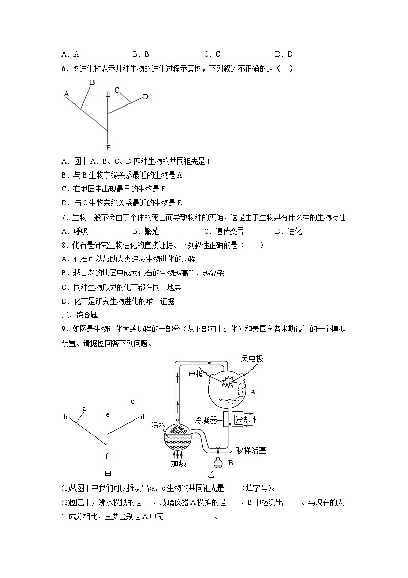 人教版八年级下册生物7.3.2 生物进化的历程(分层练)(原卷版)第2页