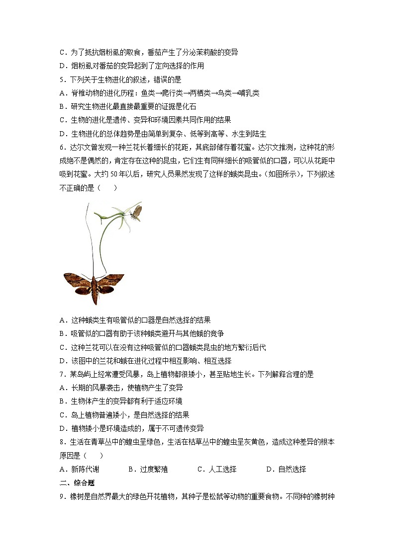 人教版八年级下册生物7.3.3 生物进化的原因(分层练)(原卷版)02