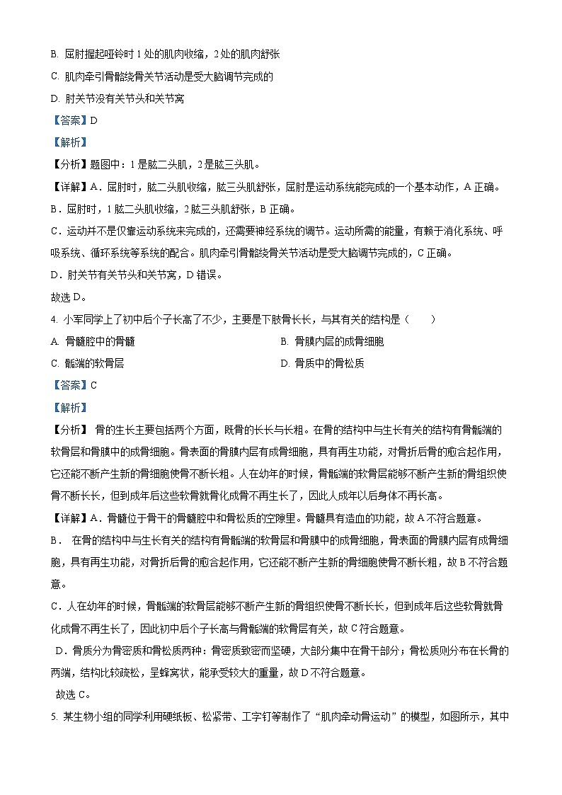 33,广东省惠州市江南学校2023-2024学年八年级上学期期末生物试题第2页
