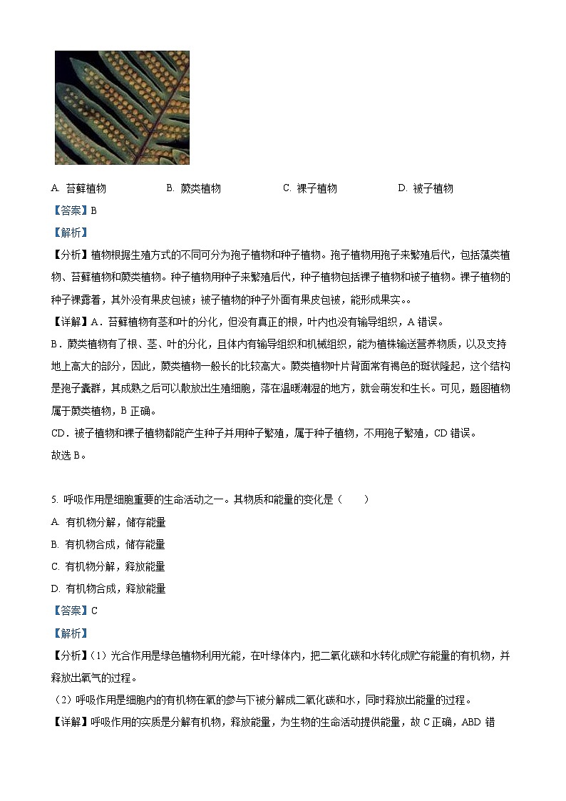 57,山东省济宁市邹城市2023-2024学年七年级上学期期末生物试题03