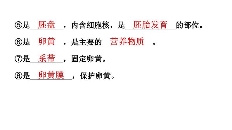 人教版生物八年级下册 第七单元第一章第四节鸟的生殖和发育课件第6页