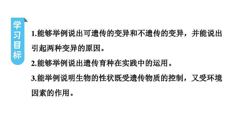 人教版生物八年级下册 第七单元第二章第五节生物的变异课件第3页