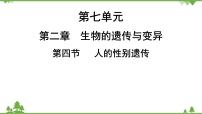初中生物人教版 (新課標(biāo))八年級(jí)下冊(cè)第七單元 生物圈中生命的延續(xù)和發(fā)展第二章  生物的遺傳和變異第四節(jié) 人的性別遺傳習(xí)題ppt課件
