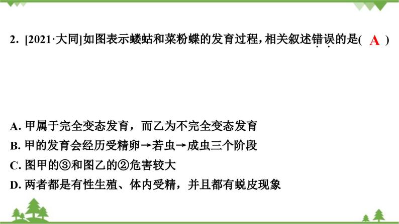 人教版生物八年级下册 第7单元  第1章  本章强化提升  中考真题演练习题课件03