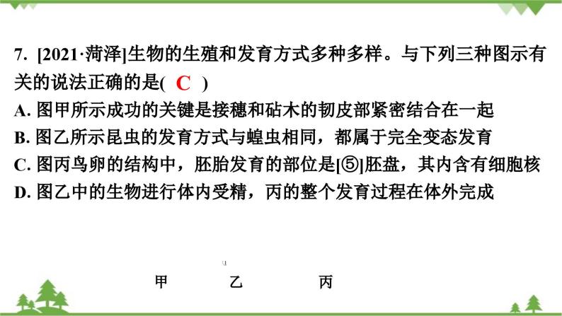 人教版生物八年级下册 第7单元  第1章  本章强化提升  中考真题演练习题课件08