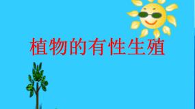 初中生物苏教版八年级下册第二节 植物的有性生殖课文配套ppt课件